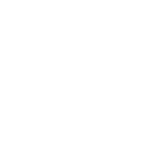 16top8+4medals.png